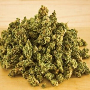 Farmacia Saludable Compra El sueño de Snoop online