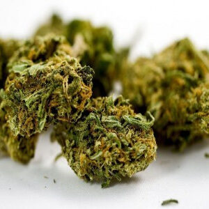 Comprar Master Kush online