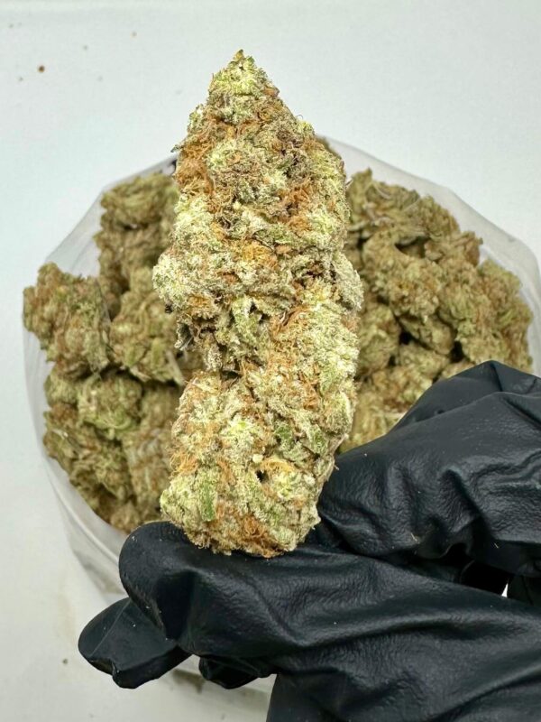 Compra Super Lemon Haze en línea